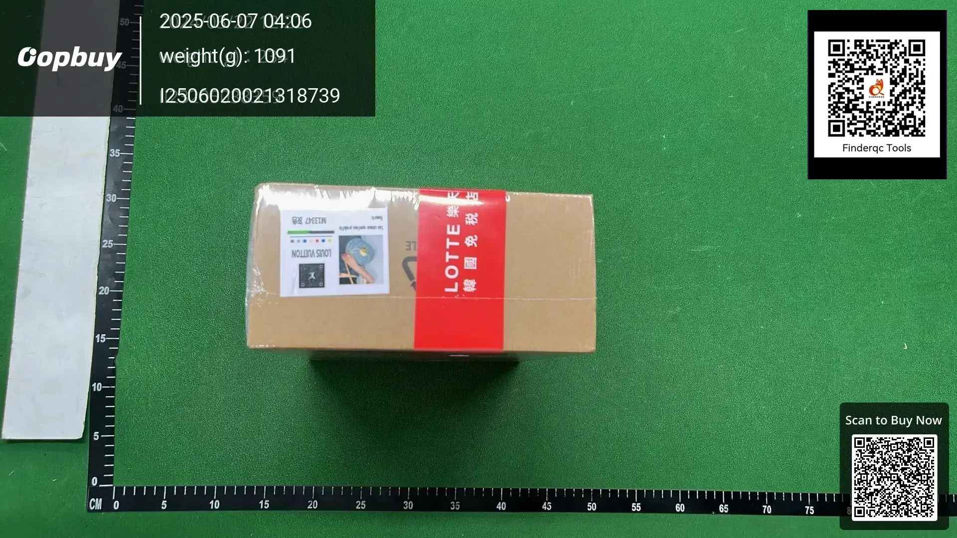 Louis Vuitton M13347 Bag