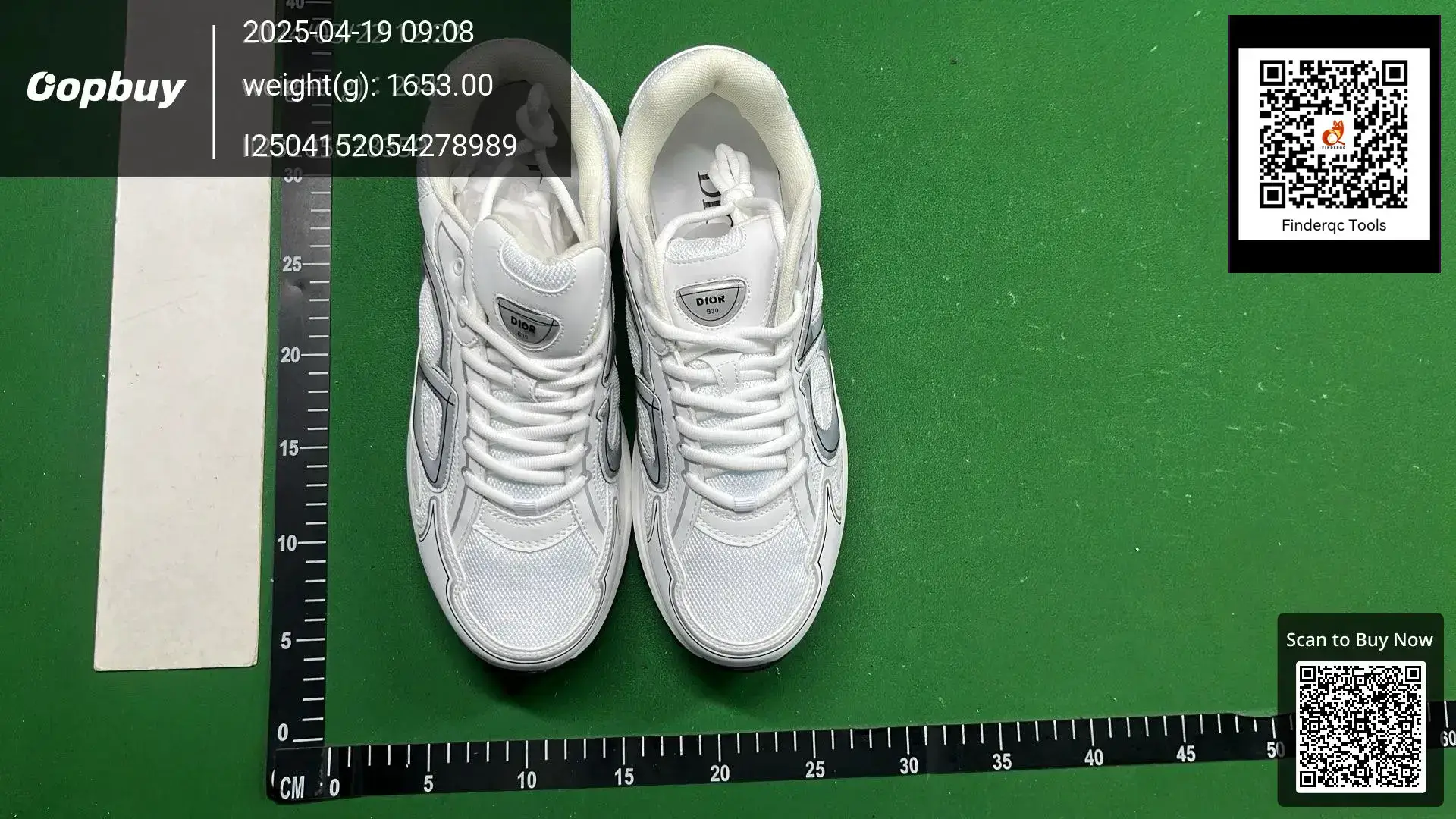 Dior B30 Sneakers White