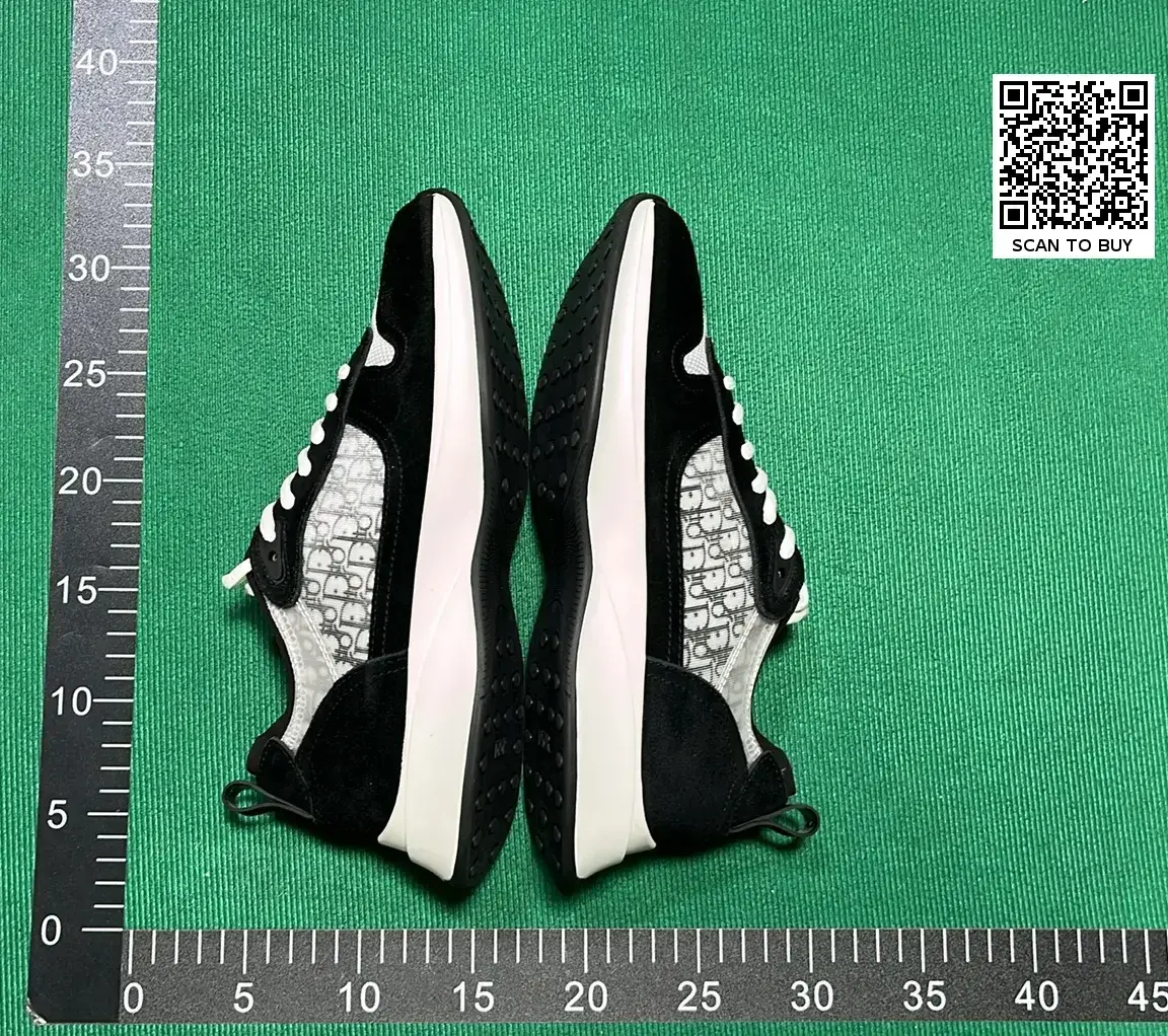 Dior B23 Low Top Sneakers Black White