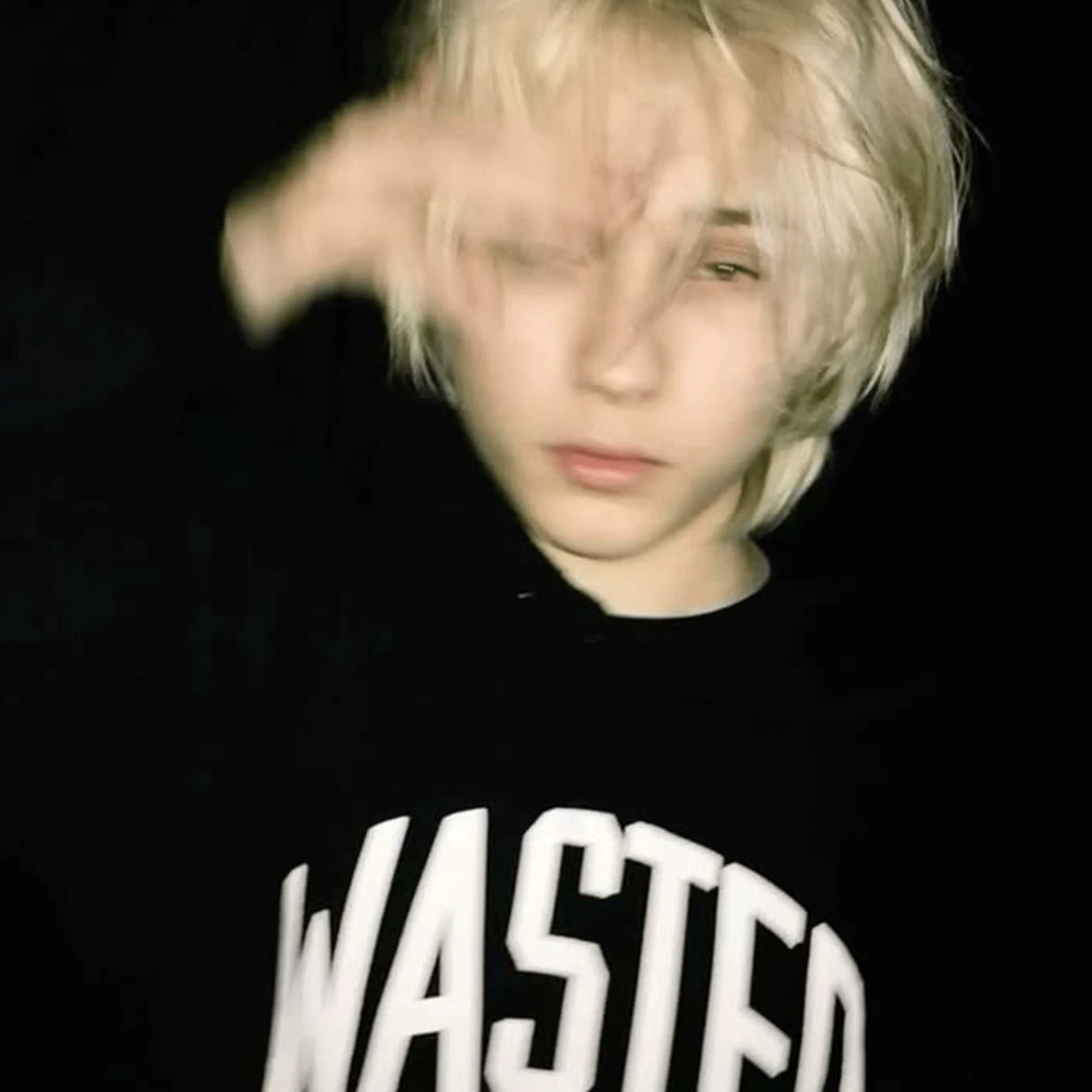 Nettpendant x Wasted Youth Heavy Weight American Heavy Hoodie