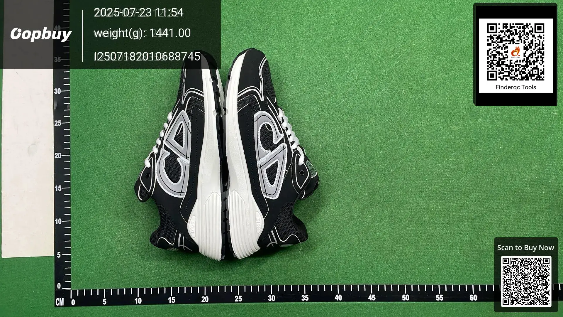 Dior B30 Sneakers Black