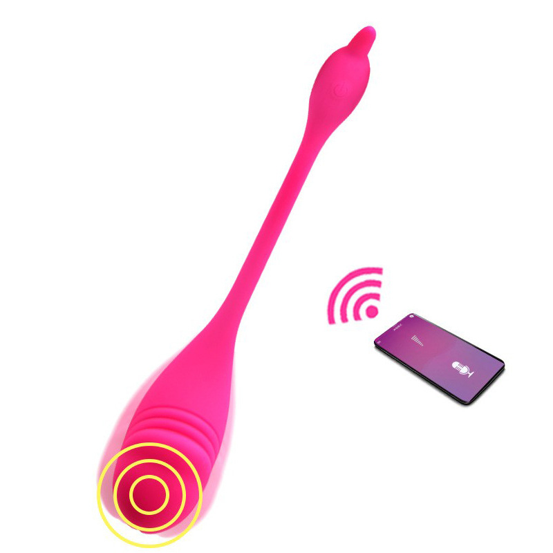 Bluetooth fun egg APP tadpole remote remote wireless remote control vibrator female multi-national voice cross-border