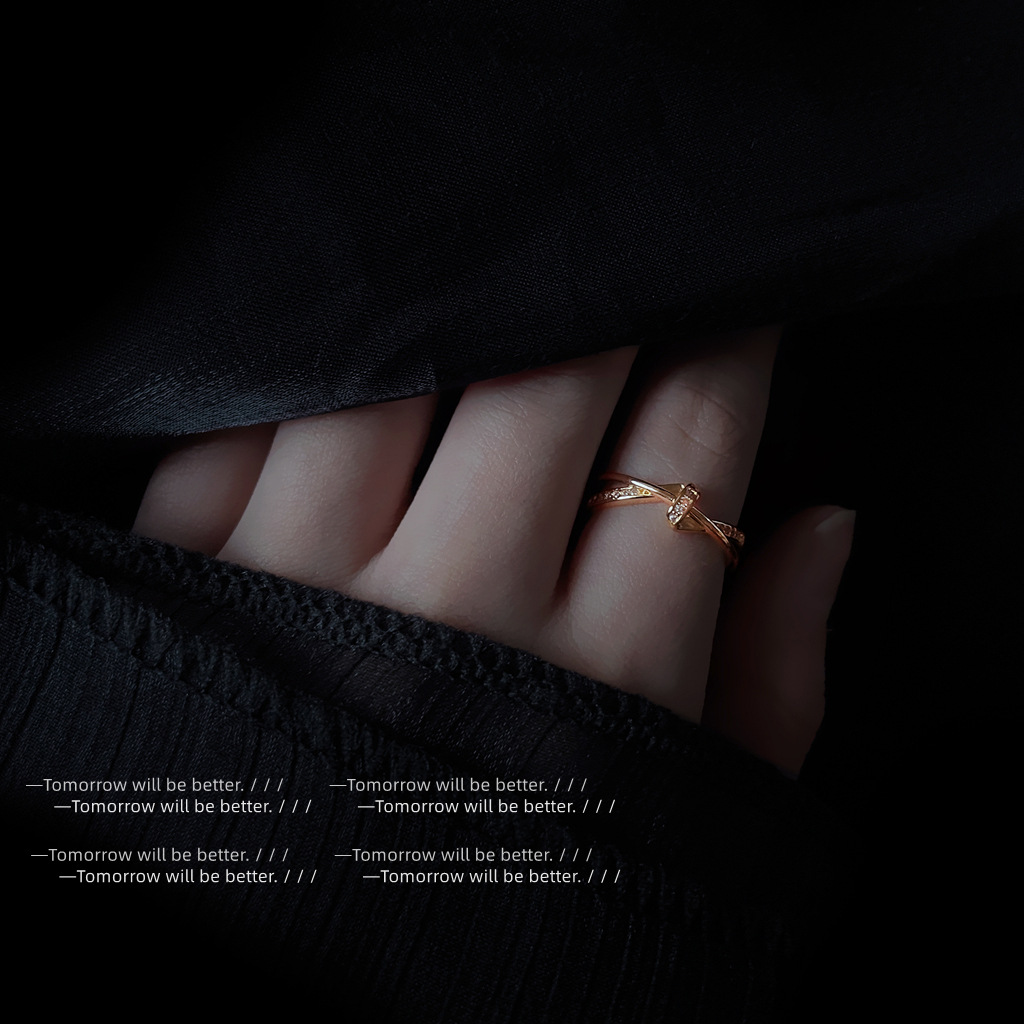 Small and Light Luxury Design Sense Twisted Ring Zircon Ring Women's Niche Personality Advanced Sense Index Finger Ring Plating 14K