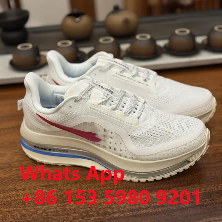 Nike Pegasus Air Zoom