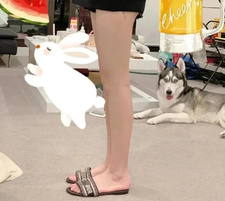 Dior Slide Sandals