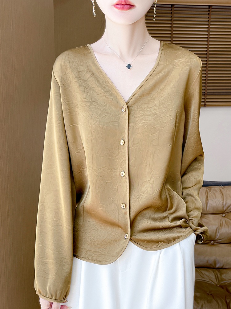 High-End Acetate Satin Long-Sleeved Shirt for Women 6 Early Spring New Design Niche Style V-Neck Imitation Silk Shirt