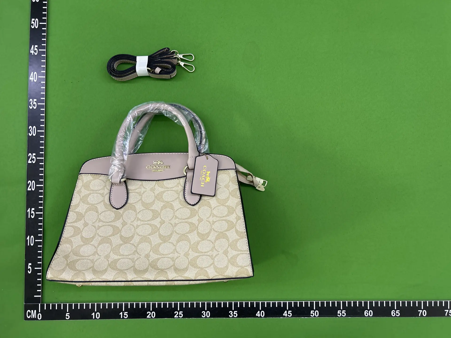 Coach Signature Tote Bag