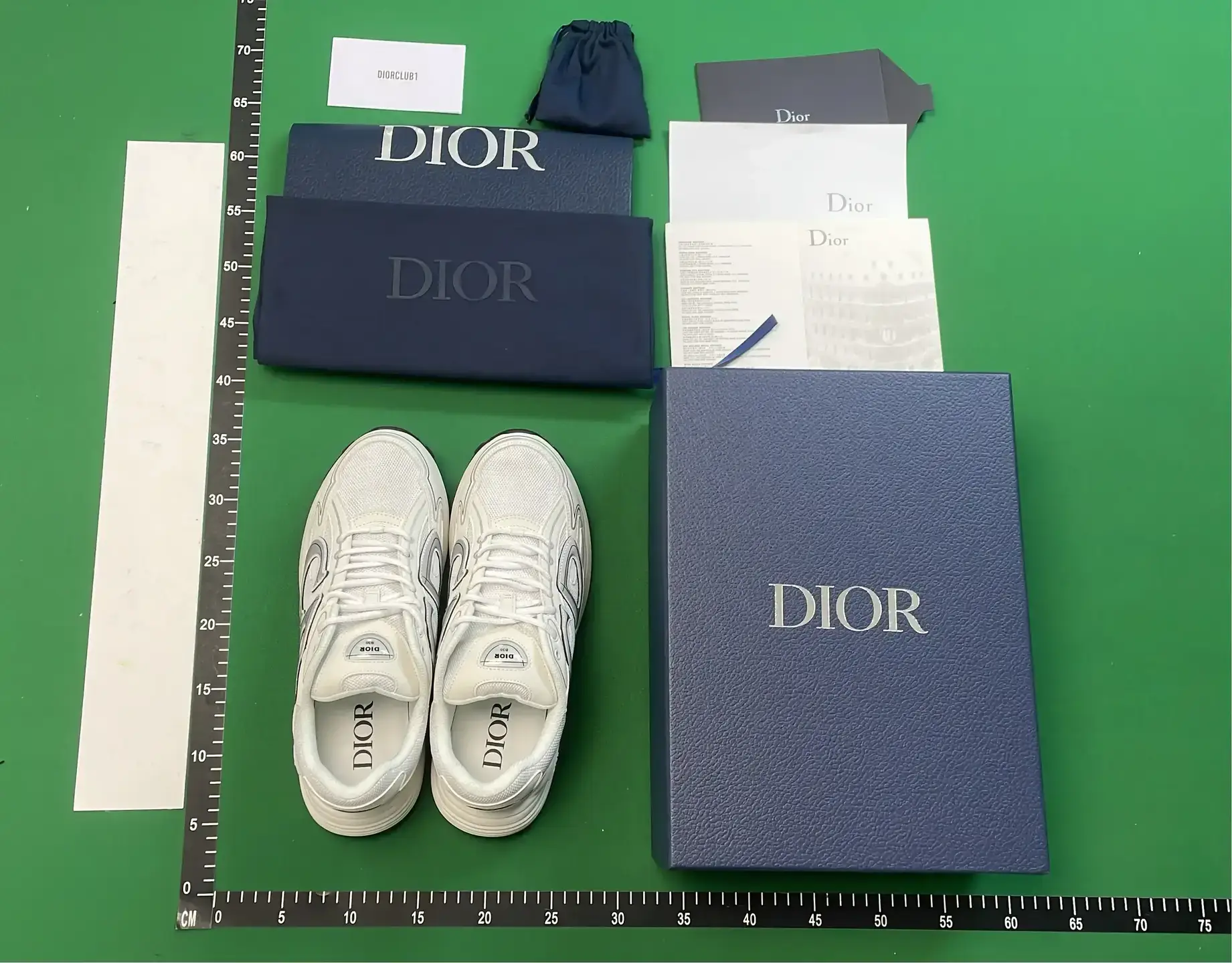 Dior B30 Sneakers White