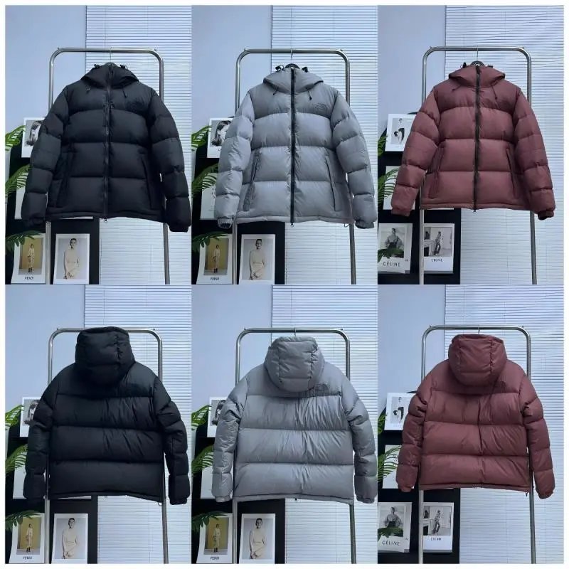 T.N.F 22F-WS Nuptse Hoodie