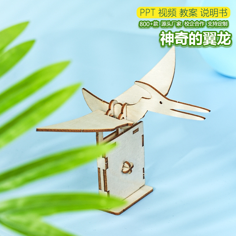 Flying pterosaur technology small production creative DIY hand-assembled simulation animal connecting rod drive children's teaching aids