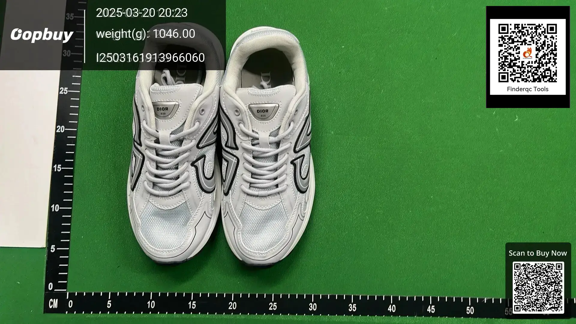 Dior B30 Sneakers White