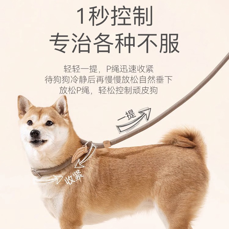 Dog Rope Explosion-Proof P Chain Dog Walking Leash Anti-Breakaway Dog Chain Medium and Large Dog Explosion-Proof Dog Leash