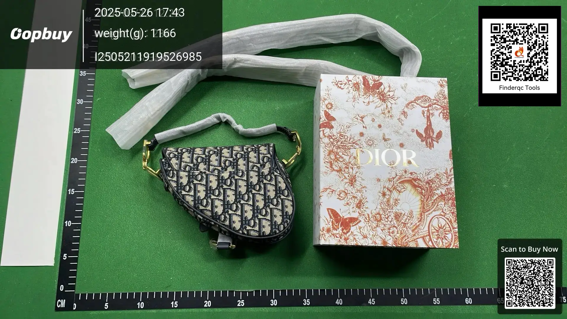 Dior Saddle Bag Oblique Canvas