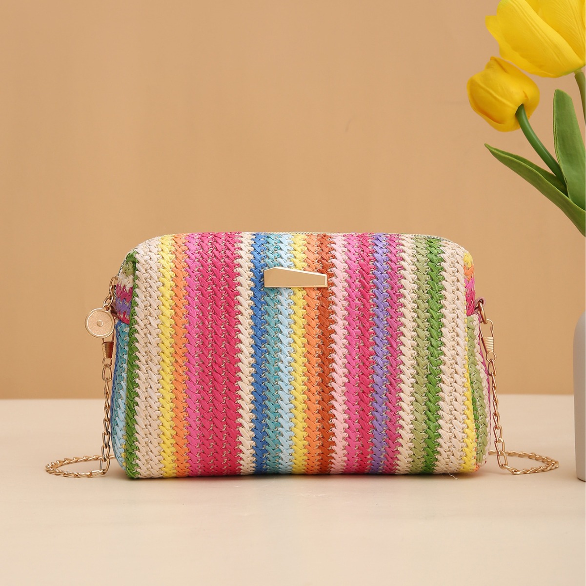 2024 new fashion casual daily fashion rainbow straw woven camera bag women's bag chain bag messenger bag