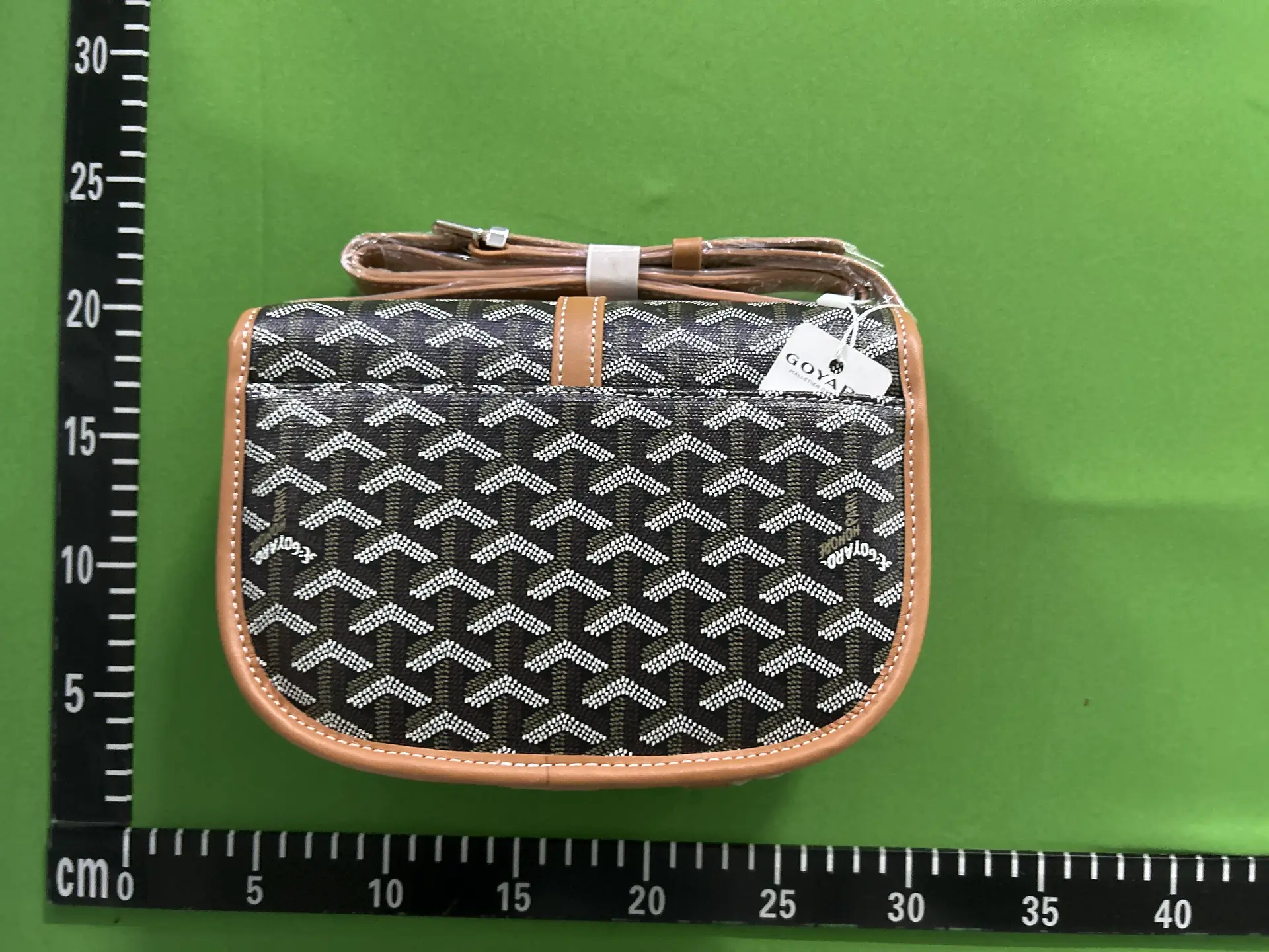 Goyard Anjou Mini Bag