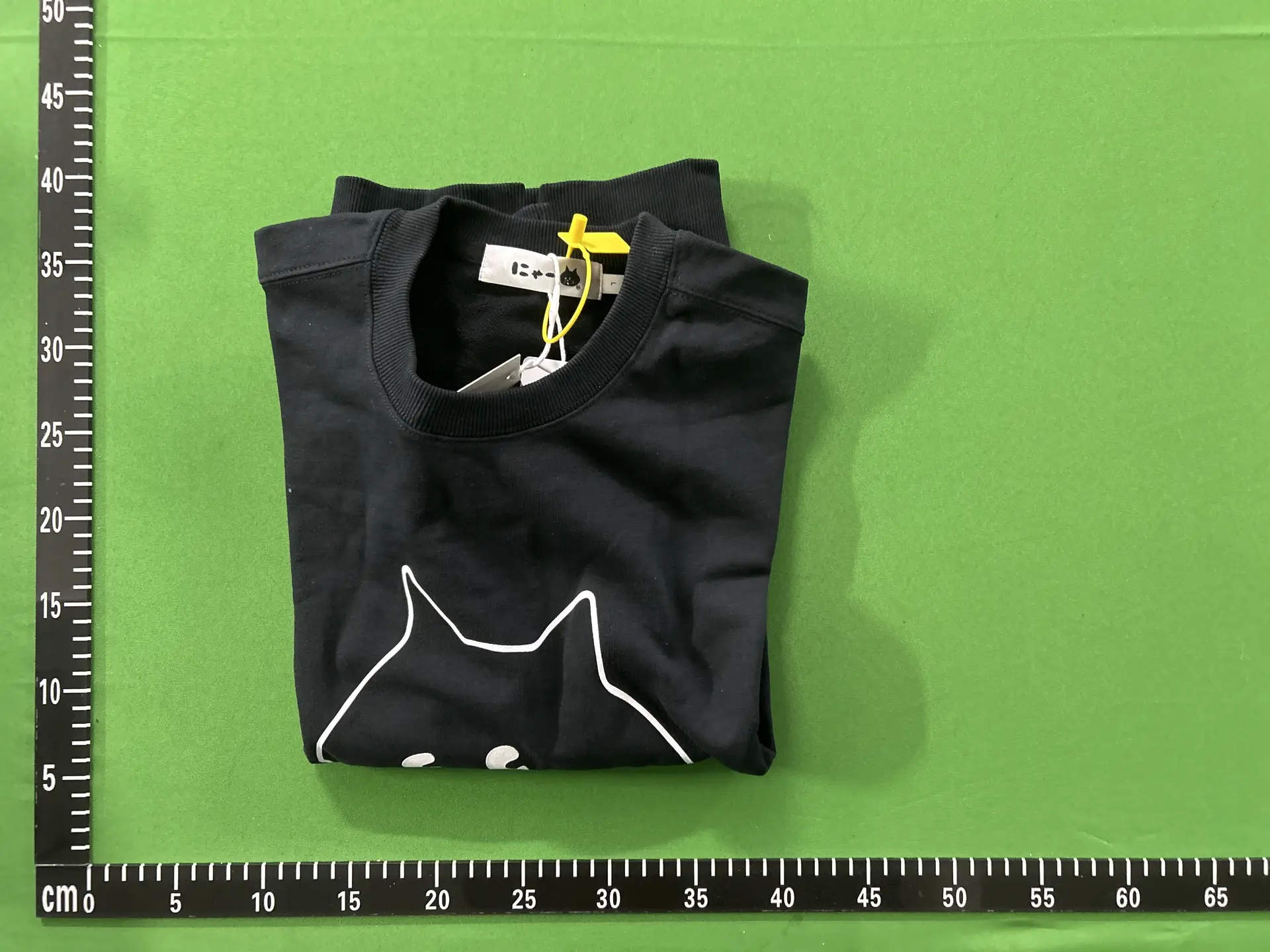 Japanese Cute Trendy Surprise Cat Big Head Printed Round Neck Hoodie Cartoon Hoodie Women's Cotton Loose Edition Trendy Top
