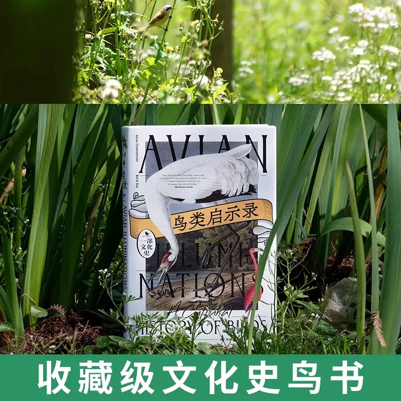 Birds Revelation: a Cultural History Cultural Walk with Birds History Philosophy Art Painting Myths Fables Bird Popular Science Books Re-Recognize Yourself Shanghai Education Press Xinhua Bookstore Authentic