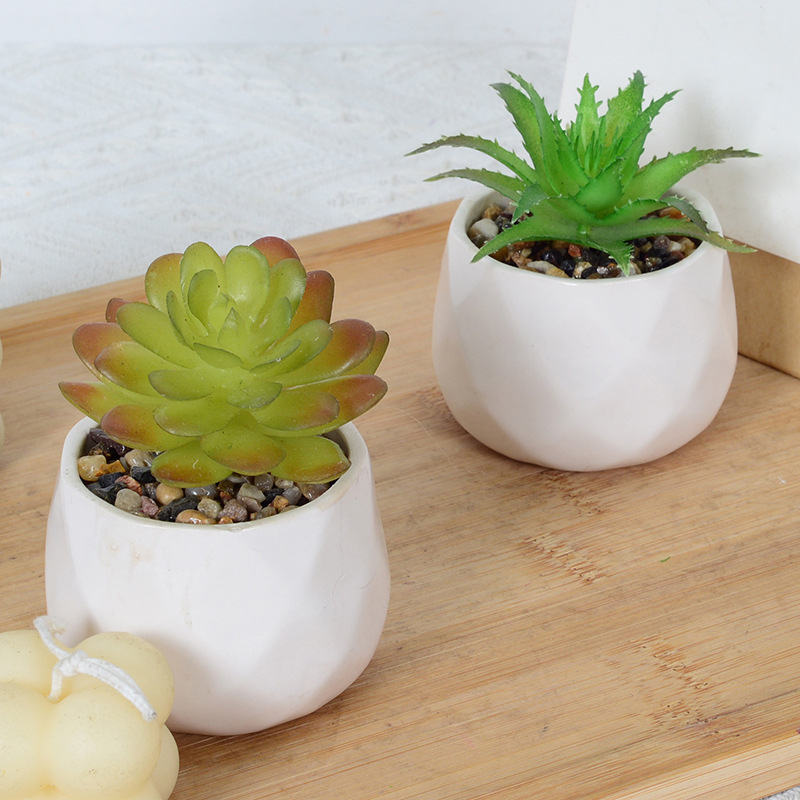 Simulation succulent plant cactus ins artificial fake flower green plant wall indoor home decoration small ornaments combination