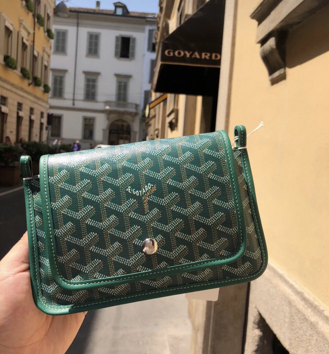 Goyard Saint Louis PM Green