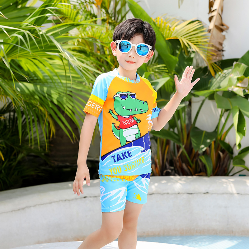 2026 New Children's Swimwear Boys' Two-Piece Set for Older Kids and Toddlers, Quick-Dry Boys' Swimsuit and Swim Trunks Set