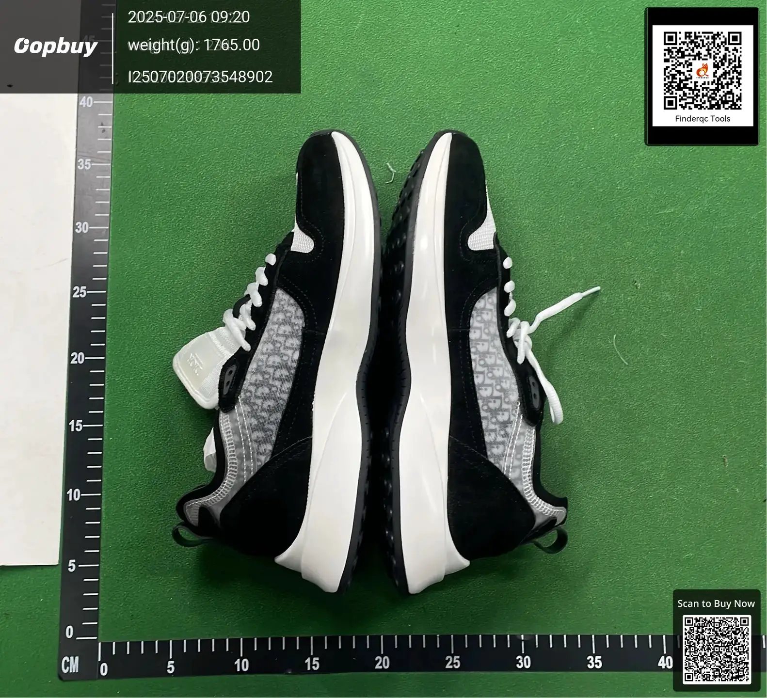 Dior B23 Low Top Sneakers Black Oblique