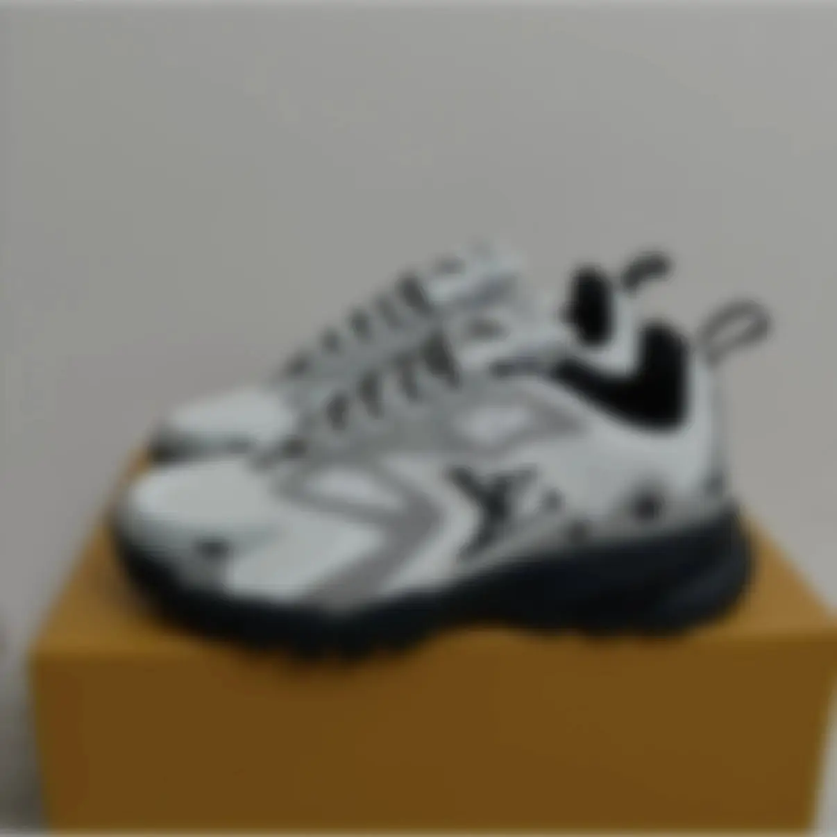 shoe