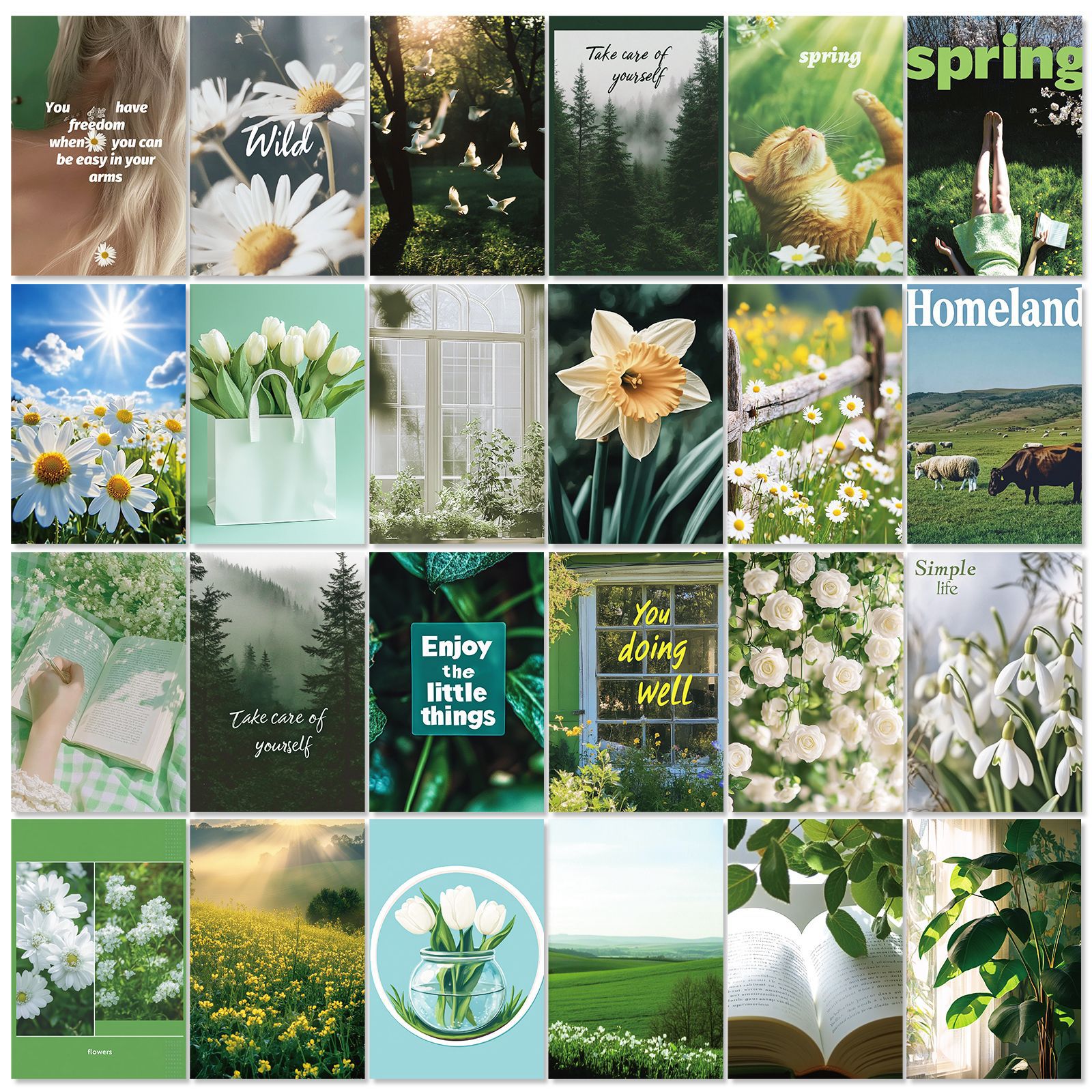 50 Amazon Green Floral Postcards Poster Wall Cards Printing Cross-Border Hot-Selling Wall Stickers Wholesale