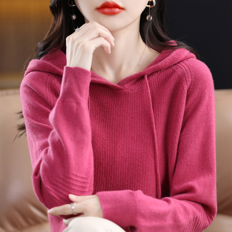 New Hoodie 2025 Autumn Style Elegant Pullover Thick Long Sleeve Hooded regular Sweater Women's Knitwear