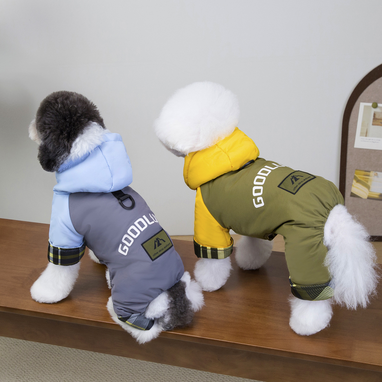 Dog Clothes Autumn and Winter New Clothing Teddy Pet Clothes Winter Thickened 25 Hooded Three-Color Four-Legged Cotton Clothes