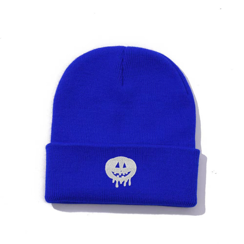 Cross-border New Amazon Embroidered Knitted Hat Autumn and Winter Outdoor Men's and Women's All-match Pullover Hat Warm Wool Hat