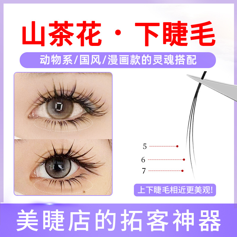 Grafting Camellia Lower Eyelash Grafting LJLB Cartoon Fox Sunflower Super Soft Hair for Eyelash Shop Teachers