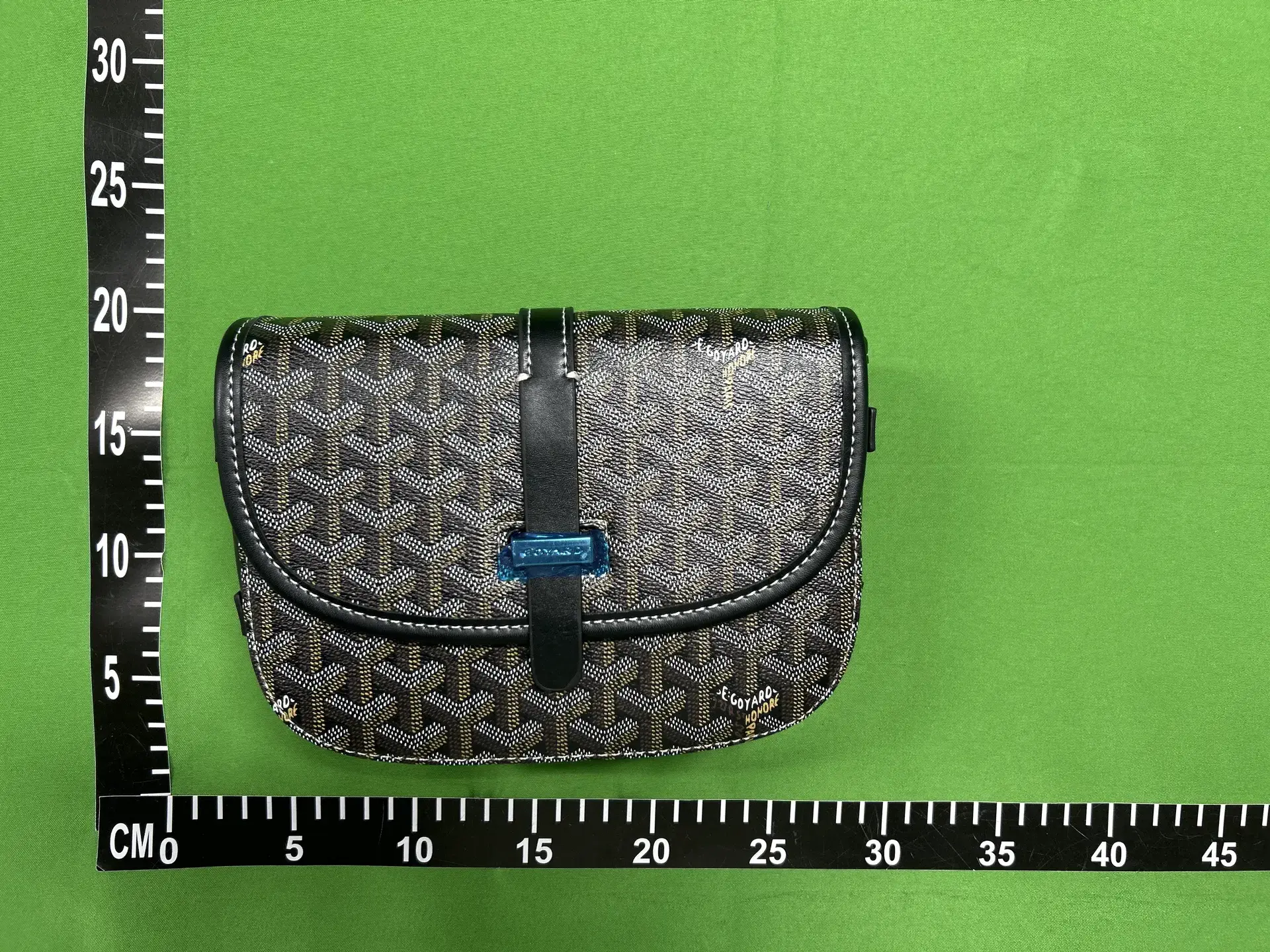 Goyard Saint Louis PM Bag