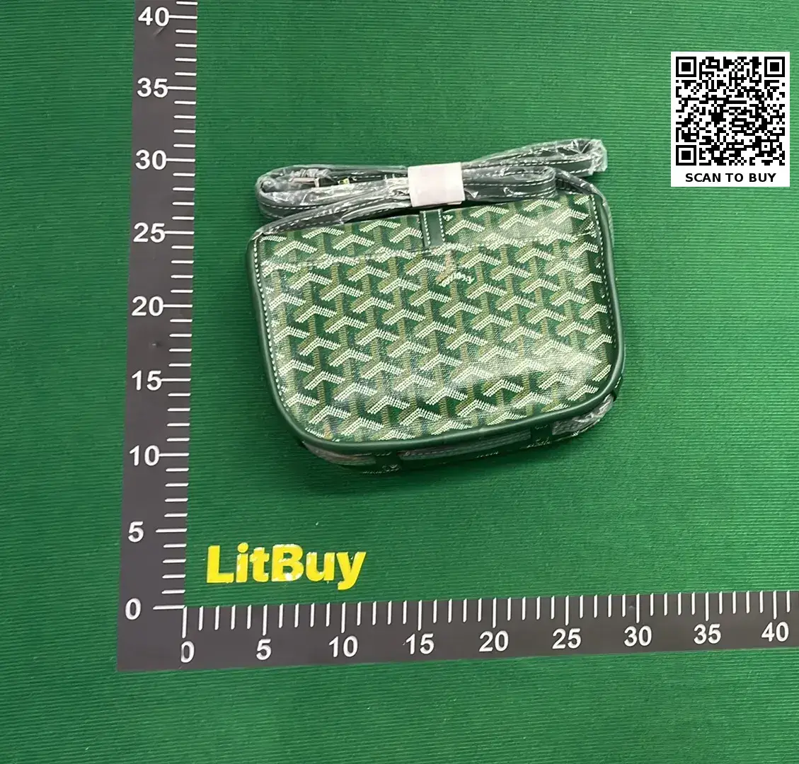 Goyard Saint Louis PM Green Bag