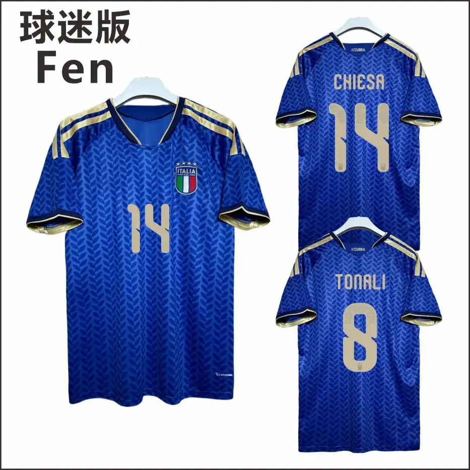 2026 Usa-Mexico-Canada World Cup Italy Home Jersey No. 14 Chiesa No. 10 Baggio Fan Version Single Top