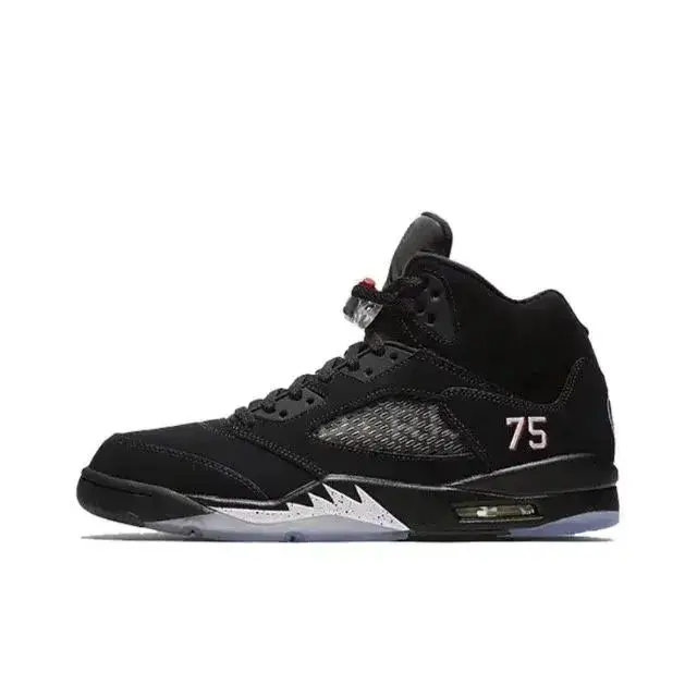 Air Jordan 5 Retro SE
