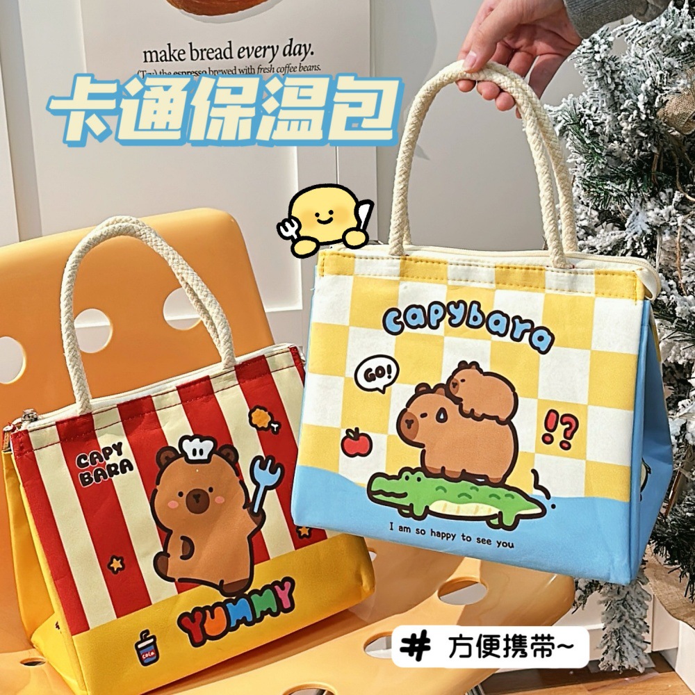 Tengyi original cute portable lunch bag office workers students large capacity lunch box bag high color value insulation lunch box bag