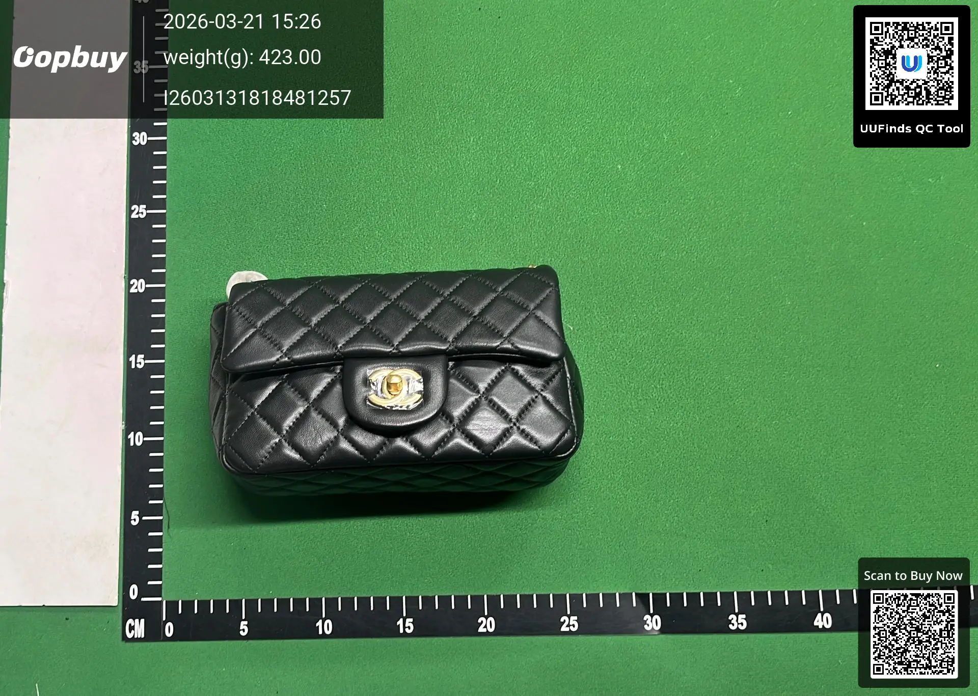 Chanel Classic Flap Mini Black