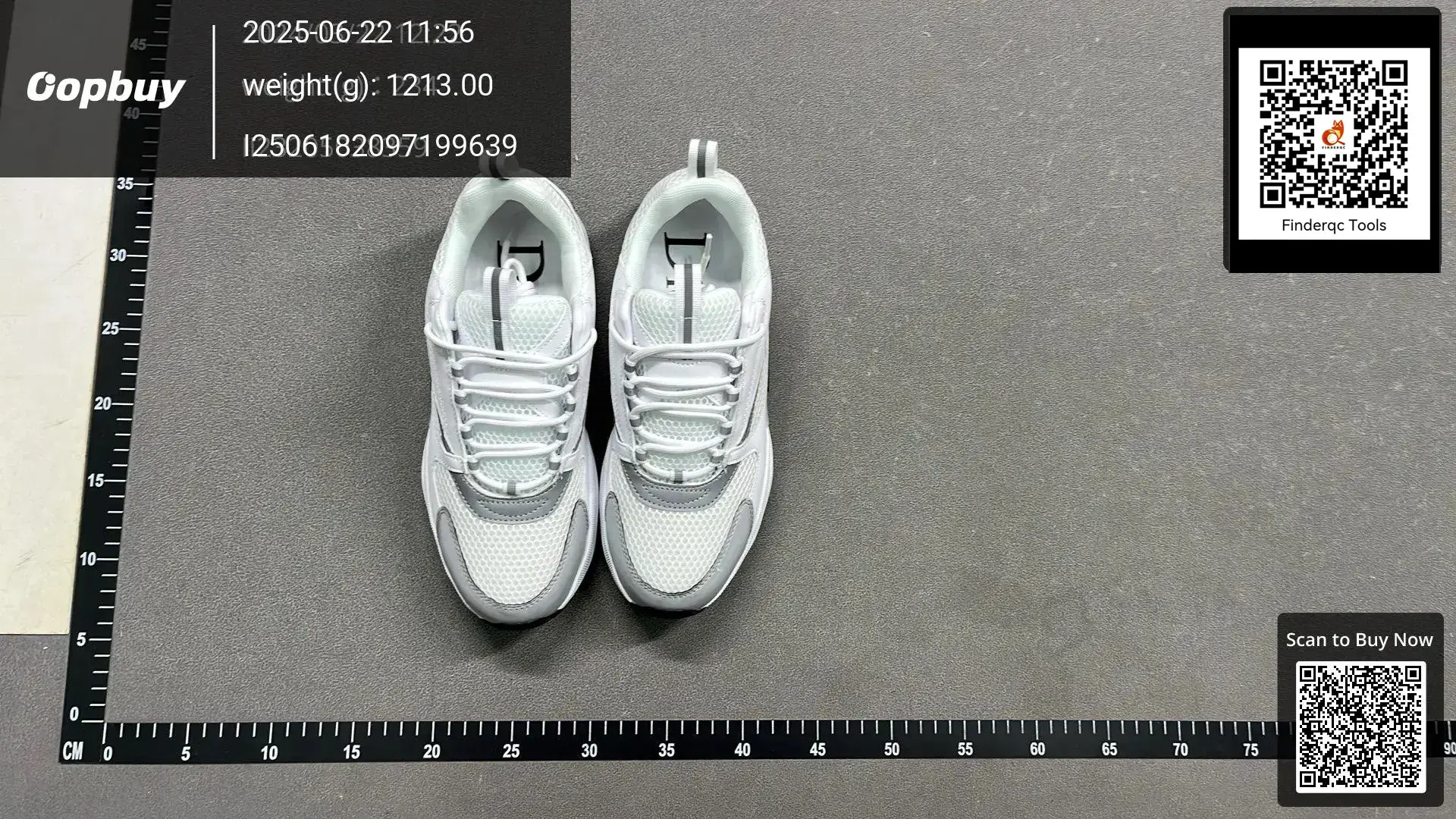Dior B22 Dopamine White Grey Mesh Casual Sneakers