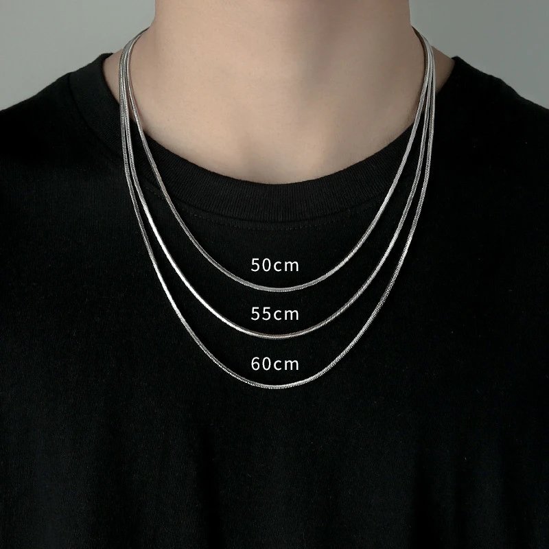 Accessories snake chain necklace for men, trendy niche brand, thin and versatile titanium steel neck chain for men, collarbone-length chain.