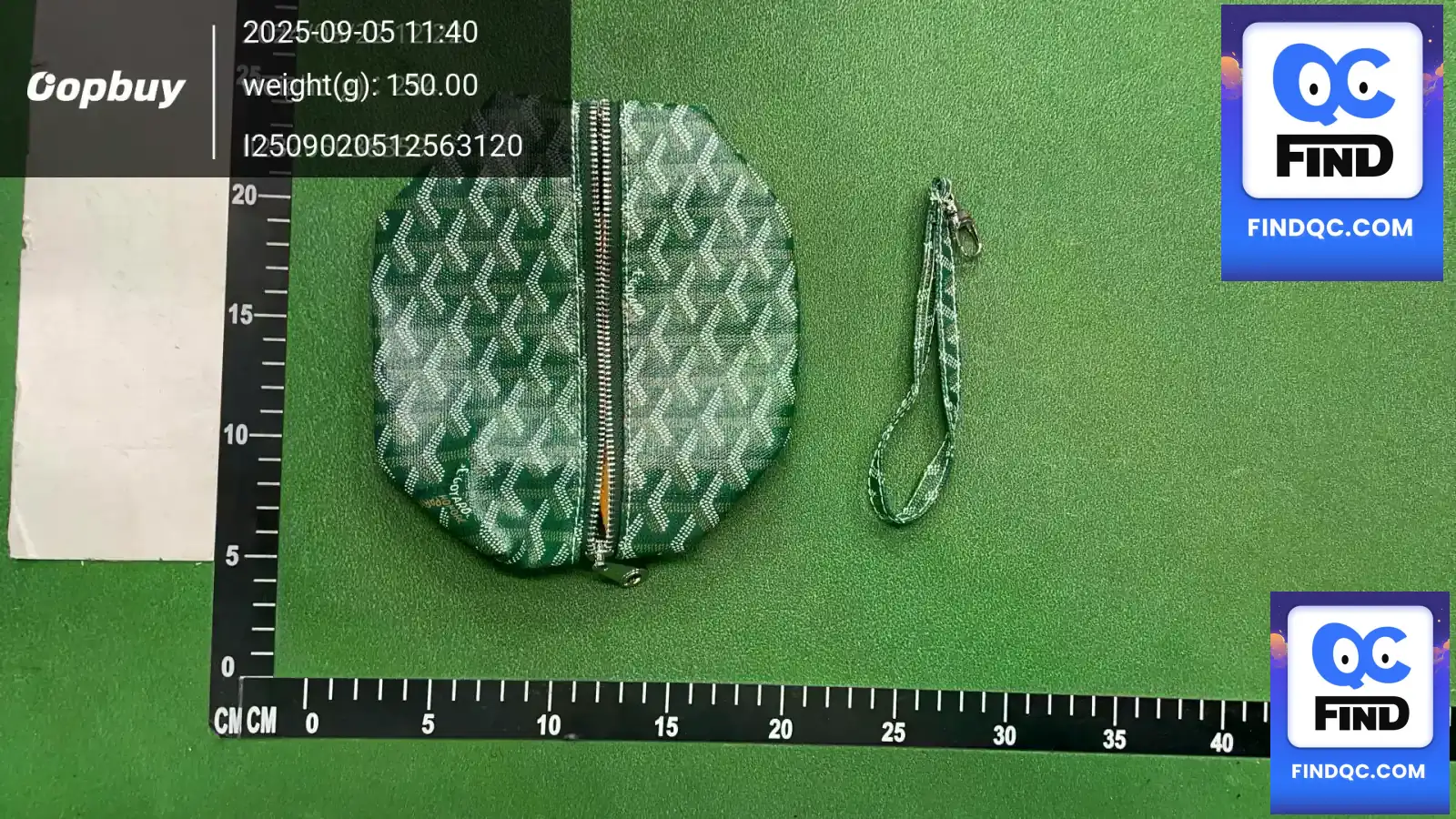 Goyard Pouch Green