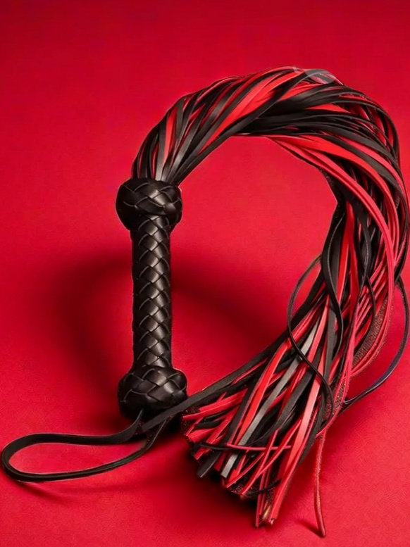 Hand-Woven Leather Whip, Red and Black Whip, Tassel Horse Whip, Loose Whip, Small Leather Whip, Practice Tool, Leather Paddle