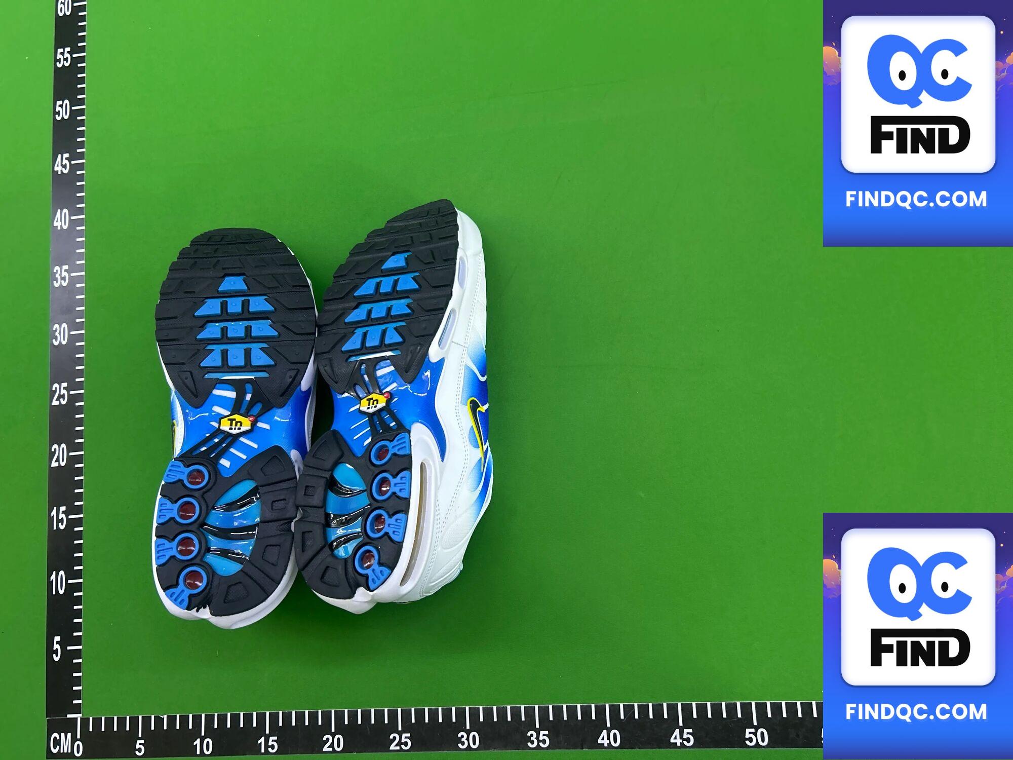 Nike Air Max Plus TN SE Collection QC