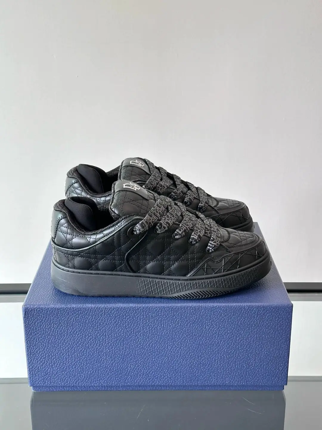 Dior B23 Low Top Sneakers Black