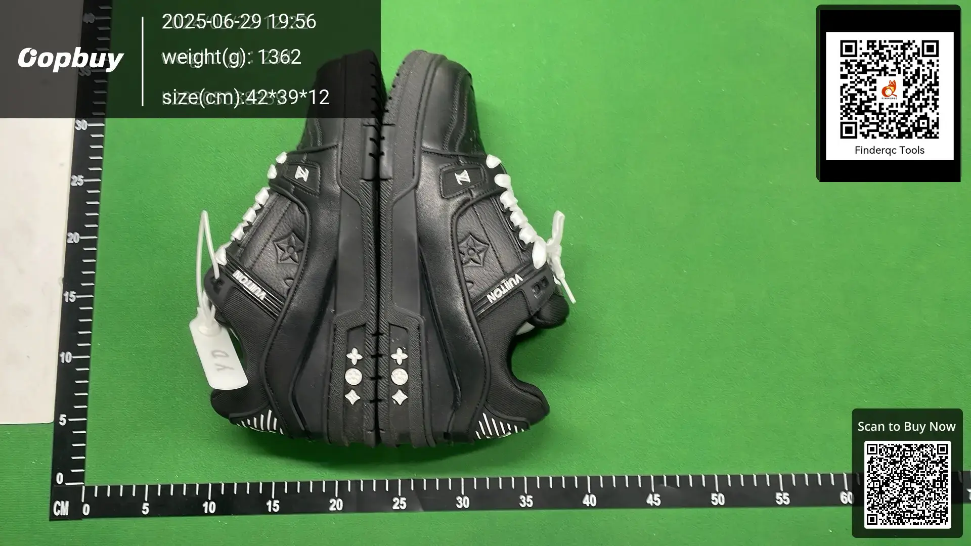 Louis Vuitton LV Trainer Black