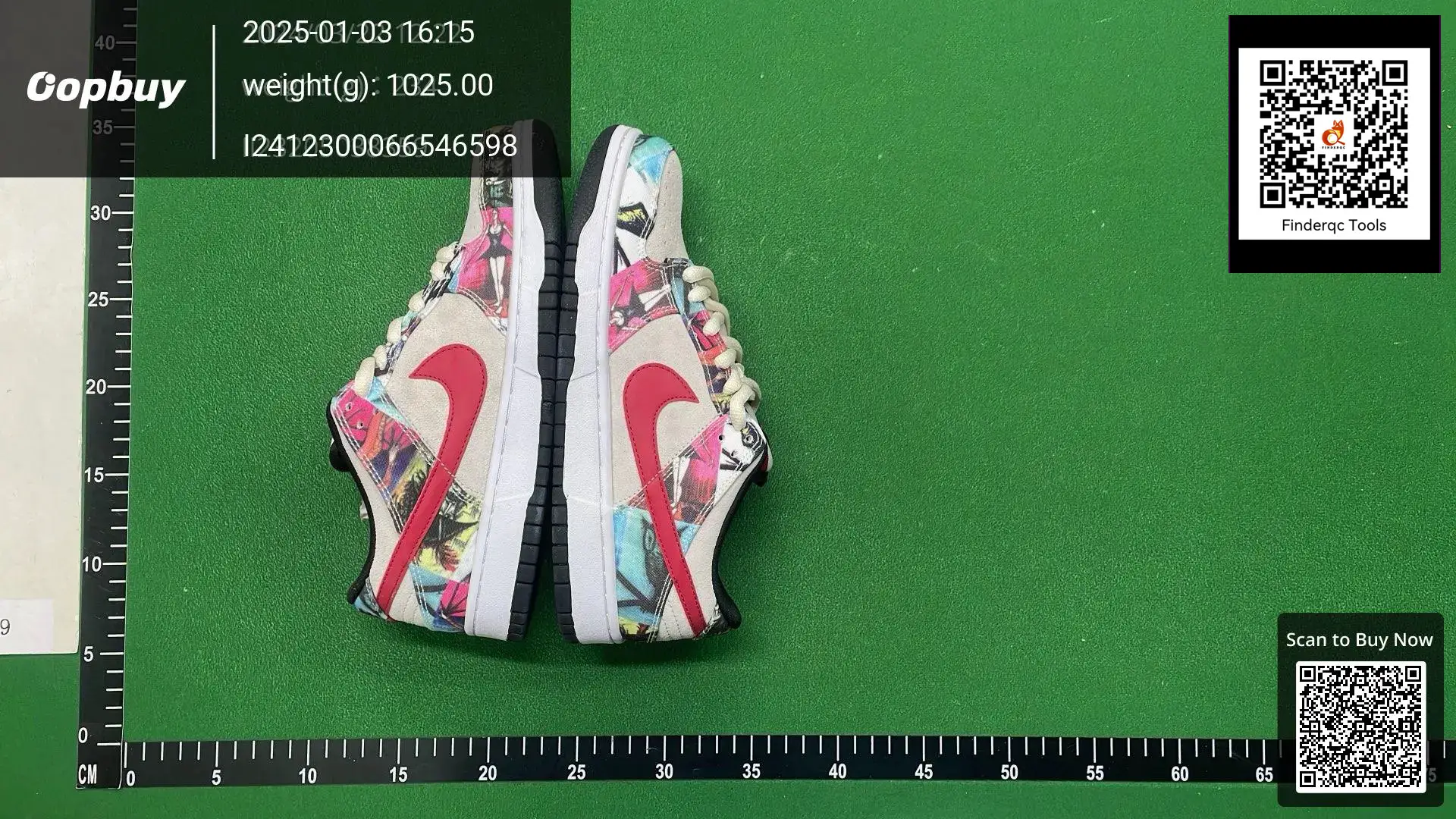 Nike Dunk SB Paris