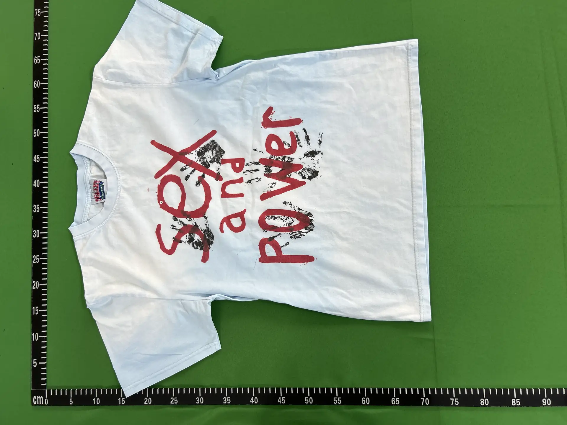 Sex and Power T-Shirt