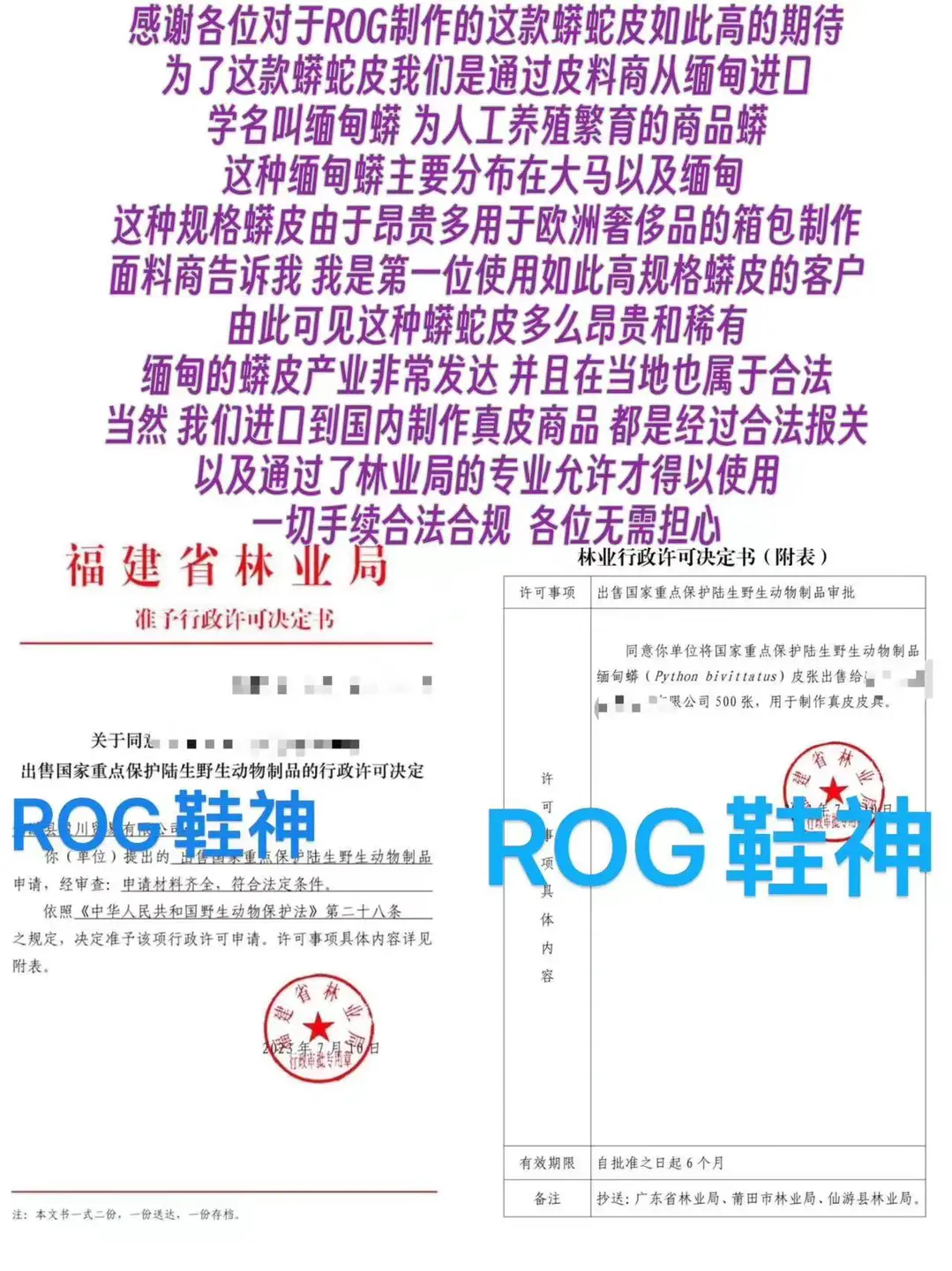 Rog Ro 23Ss New arrival Black and White Inverted Triangle High-Top Shoes with Python Skin Geobasket