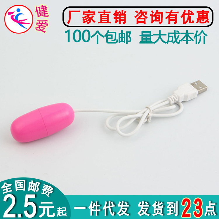 Jinle USB Single Jumping Egg Female Masturbation Massager Small Portable In-line Strong Shock Vibrator Adult Supplies