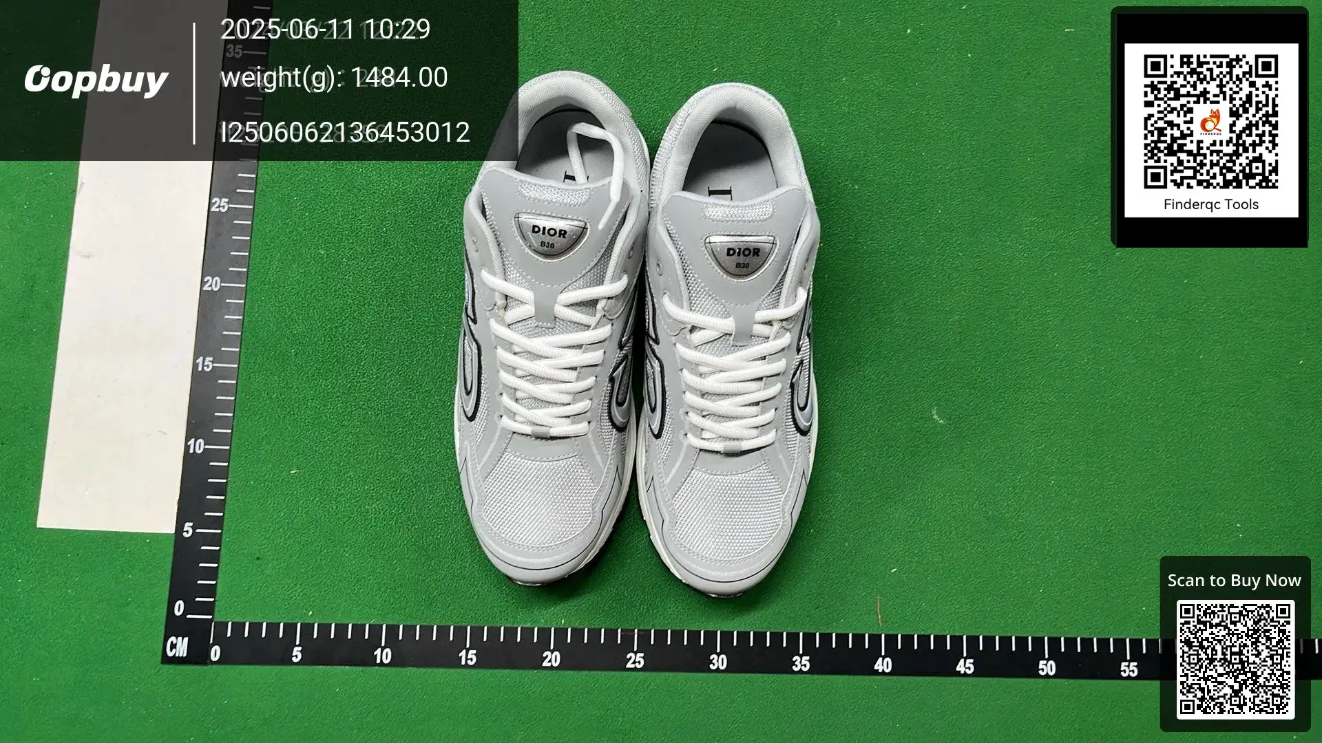 Dior B30 Sneakers Light Grey