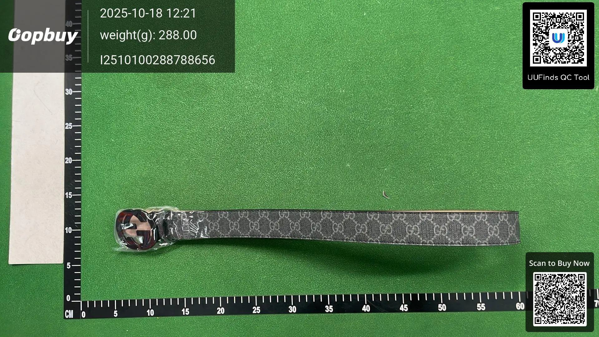Gucci GG Marmont Belt